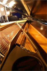 Piano Humidity Control System installation