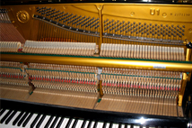 Piano soundboard and keys